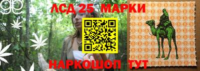 Альфа ПВП Татарск