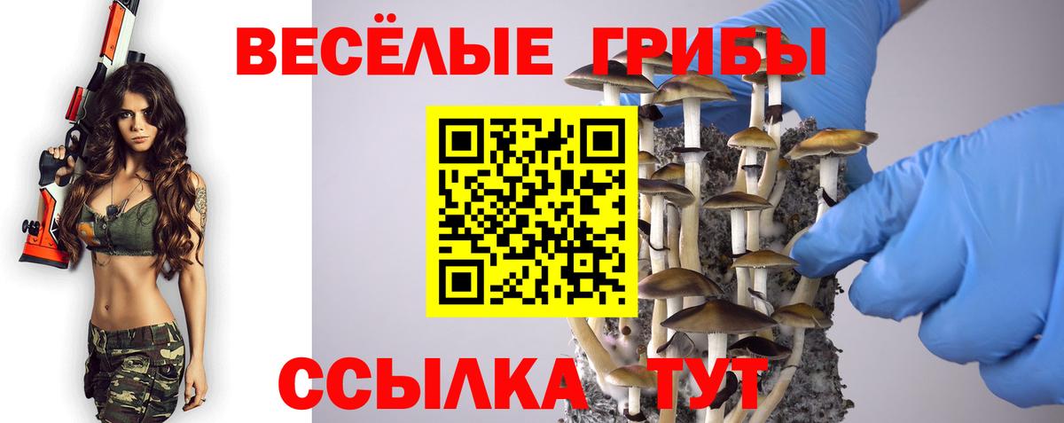 Псилоцибиновые грибы Psilocybe  Галлюциногенные грибы Psilocybine cubensis  Вход с VPN  Вязники 